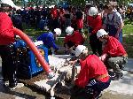 Mikroregion 21. 05. 2005