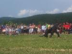 Mikroregion 31. 05. 2008