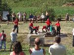 Rohle 06. 09. 2008