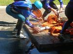 Bohuslavice 28. 08. 2011