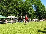Nemrlov 17. 07. 2011